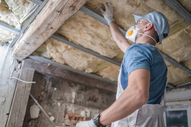 Garage Insulation Installation in Caledonia, WI